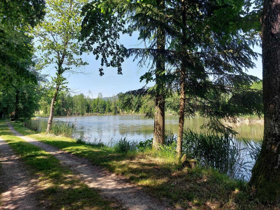 Ziegelteich Fischgewässer