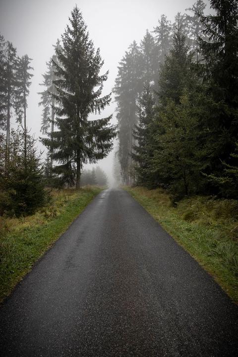 S9 TraumArena Weg