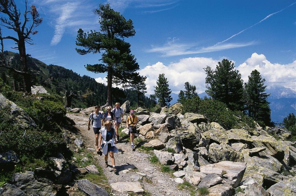 Glungezer Zirbenweg