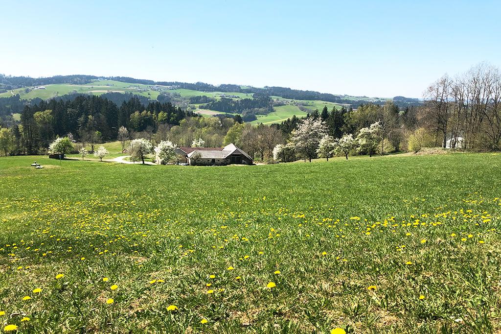 Ahorner Rundweg