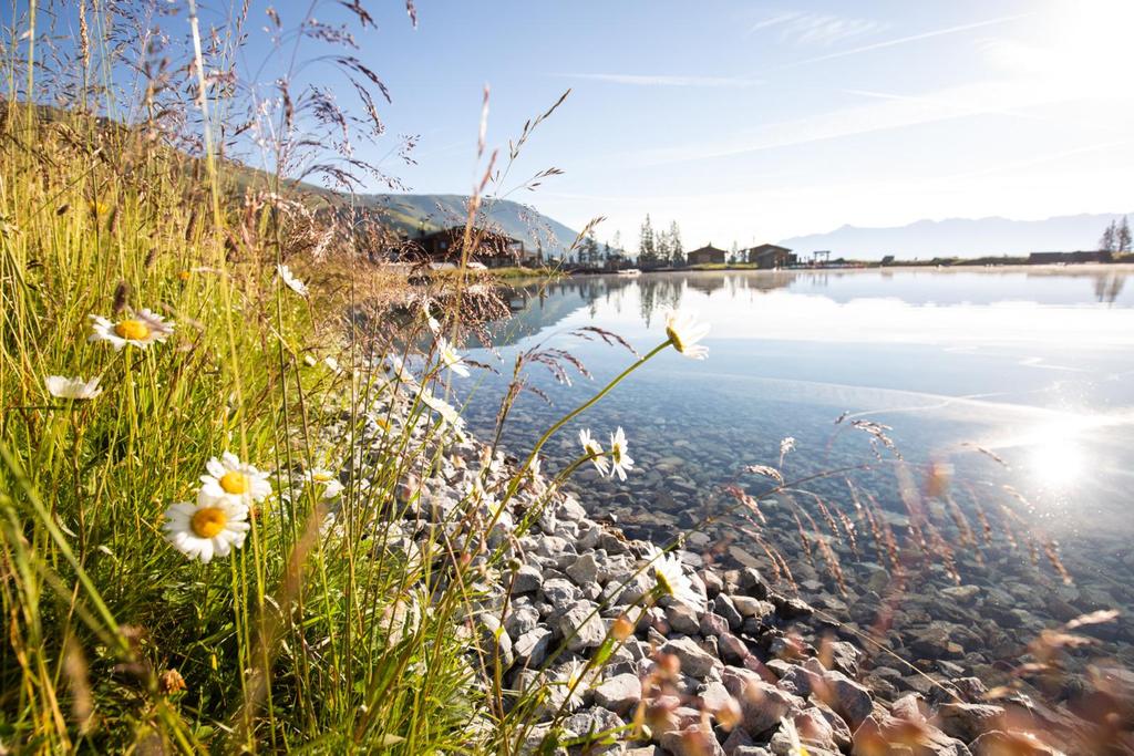 Högsee
