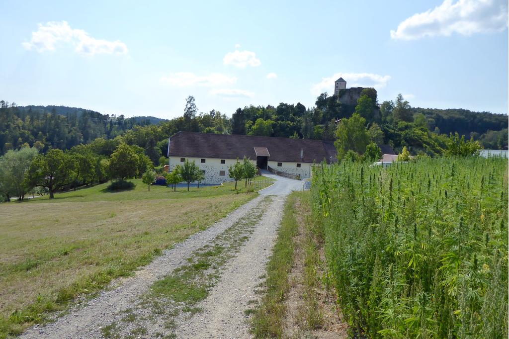 Blick auf das Schloss Riedegg