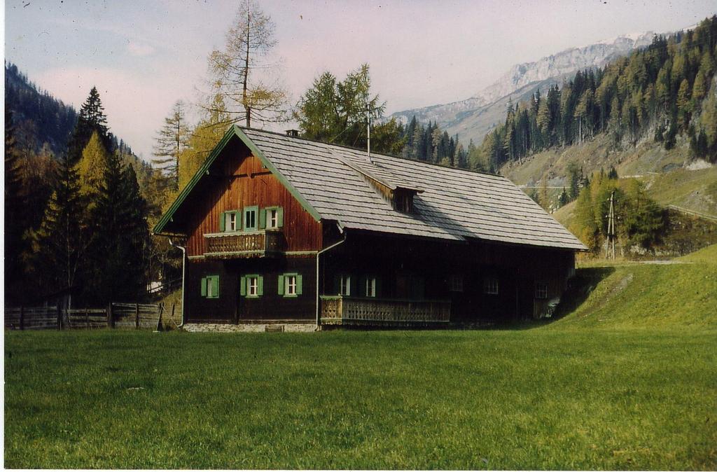 Steffleralm-Sommer