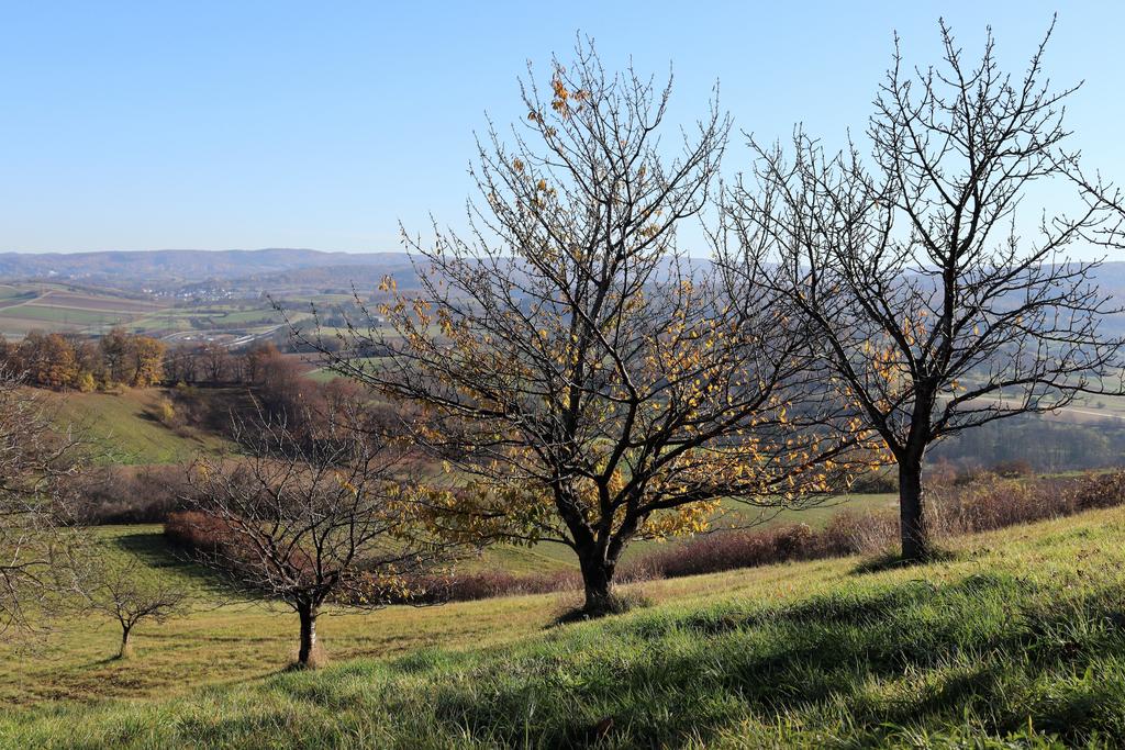 Weites Land