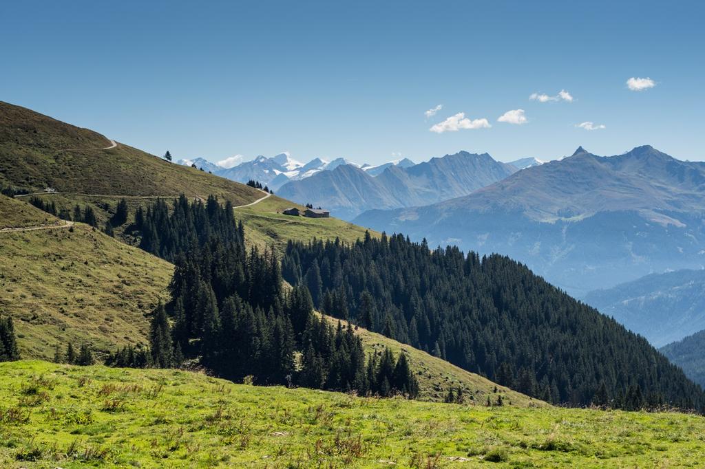 Mühlbachtal