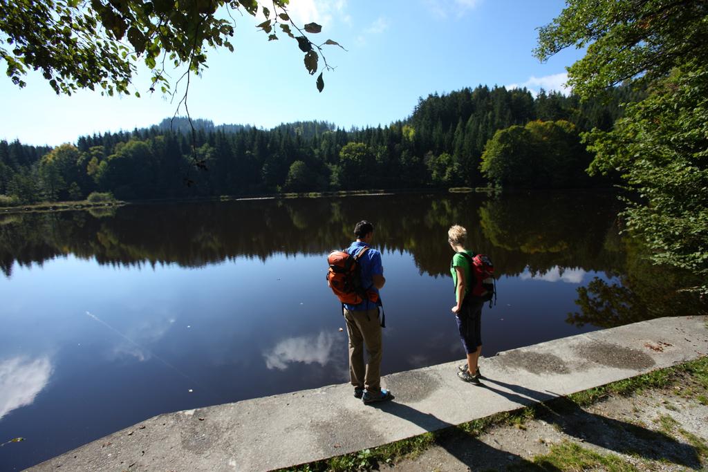 Tauern Teich