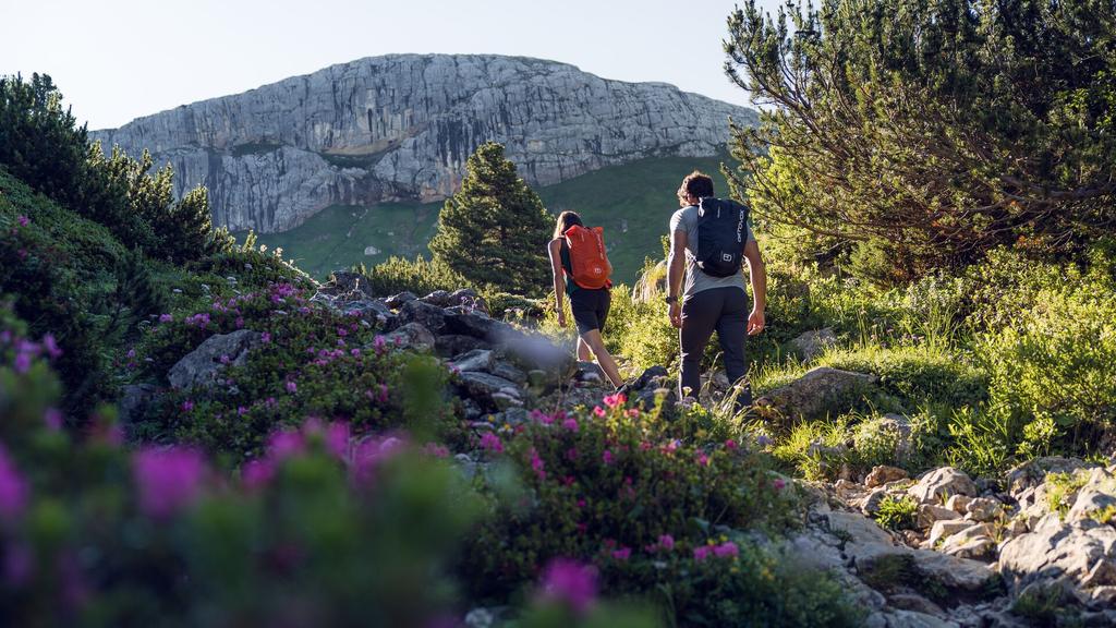 wandern im Rofangebirge - in Richtung Rofanspitze