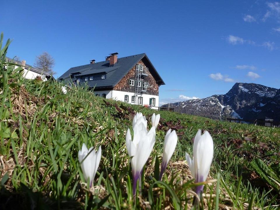 Haus 2