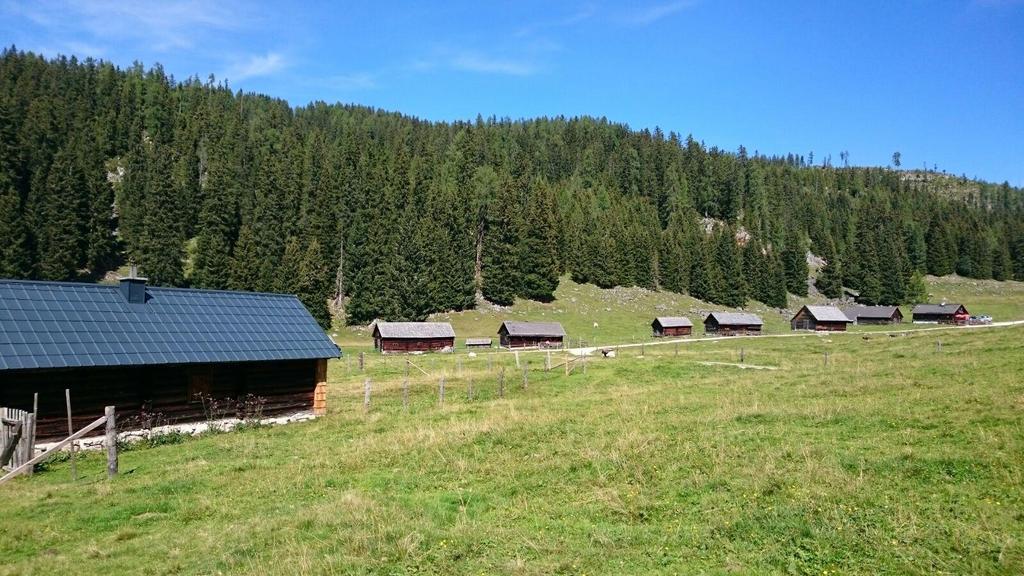 Viehbergalm
