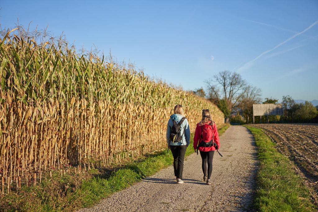 MädelsWandernMaisfeld_TourismusverbandRegionWels.jpg