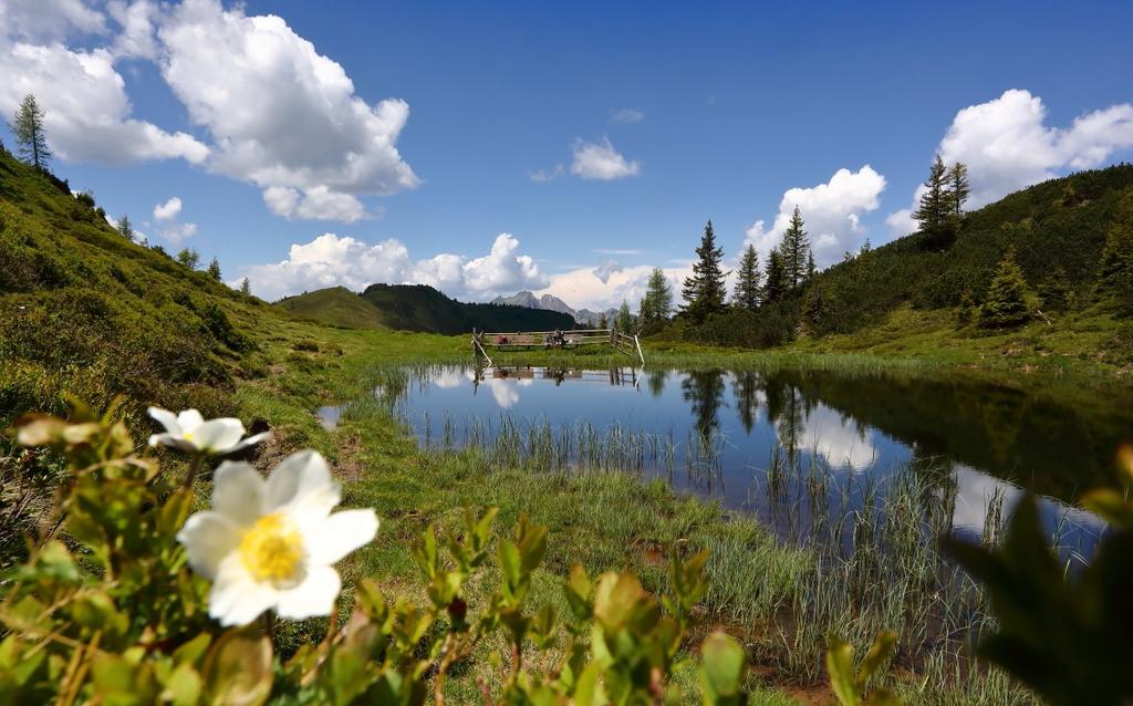 Trögseen