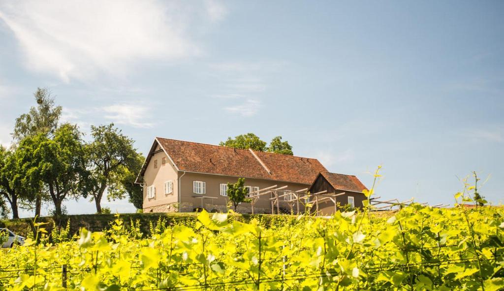 Tement Winzarei Südsteiermark