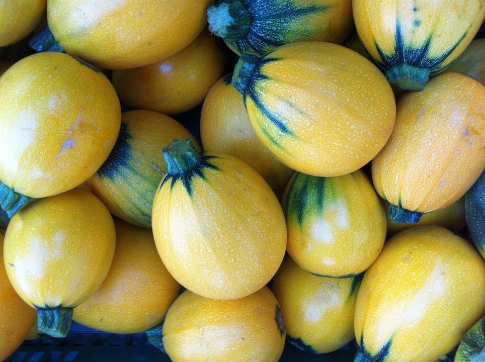 Kürbis
