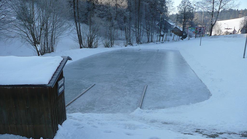 Eislaufteich Schönau
