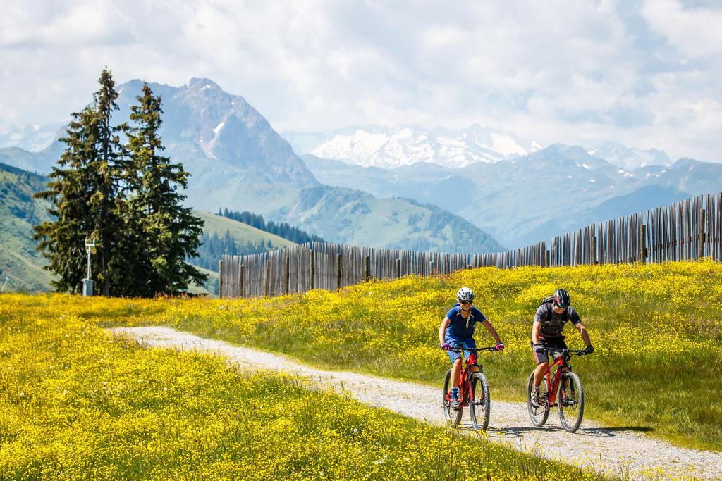 hängematte trekking Trek Light Hammock – The Poppy Seed Els PW 7335 right out of the Bunch Bikes K9 - Fabric:Matte Satin(Wholesale)