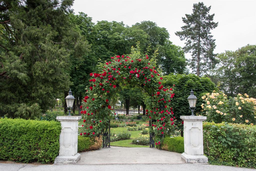Rosarium3