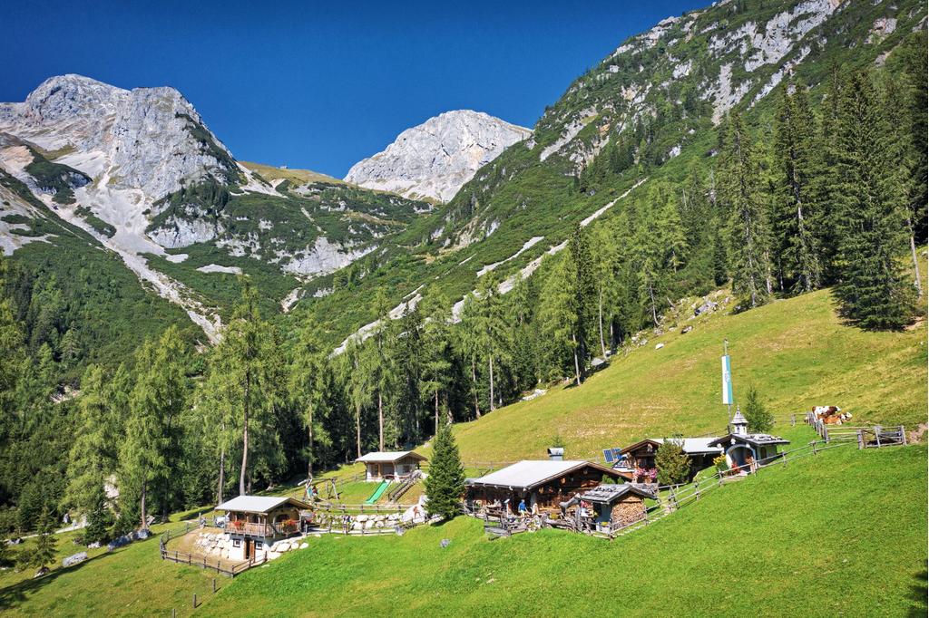 Lärchbodenalm