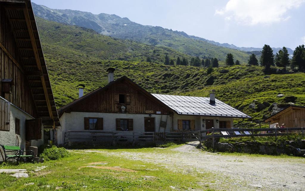 Juifenalm.jpg