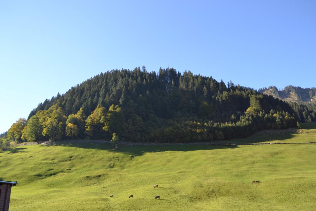 Alpenwald