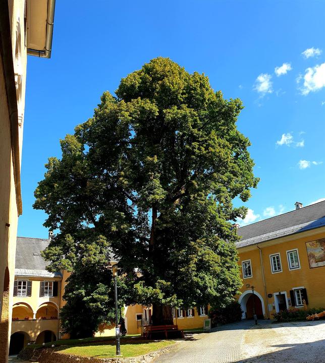 Stifstinnenhof