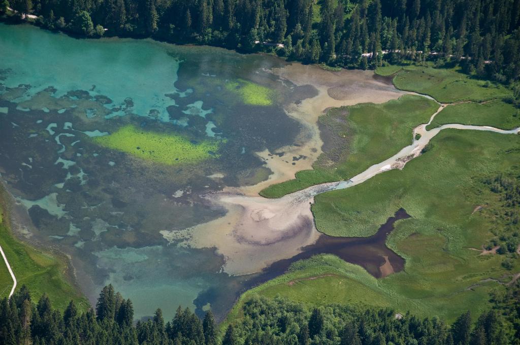 Jägersee im Sommer