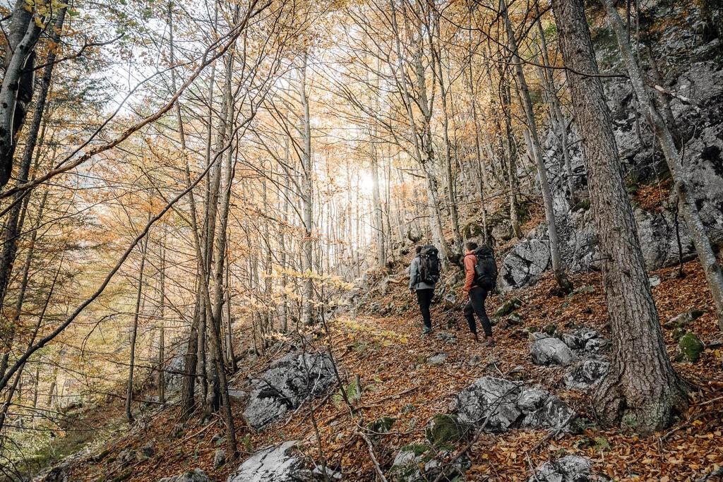 Luchs Trail Etappe 03 - Laussabauernalm - Admont