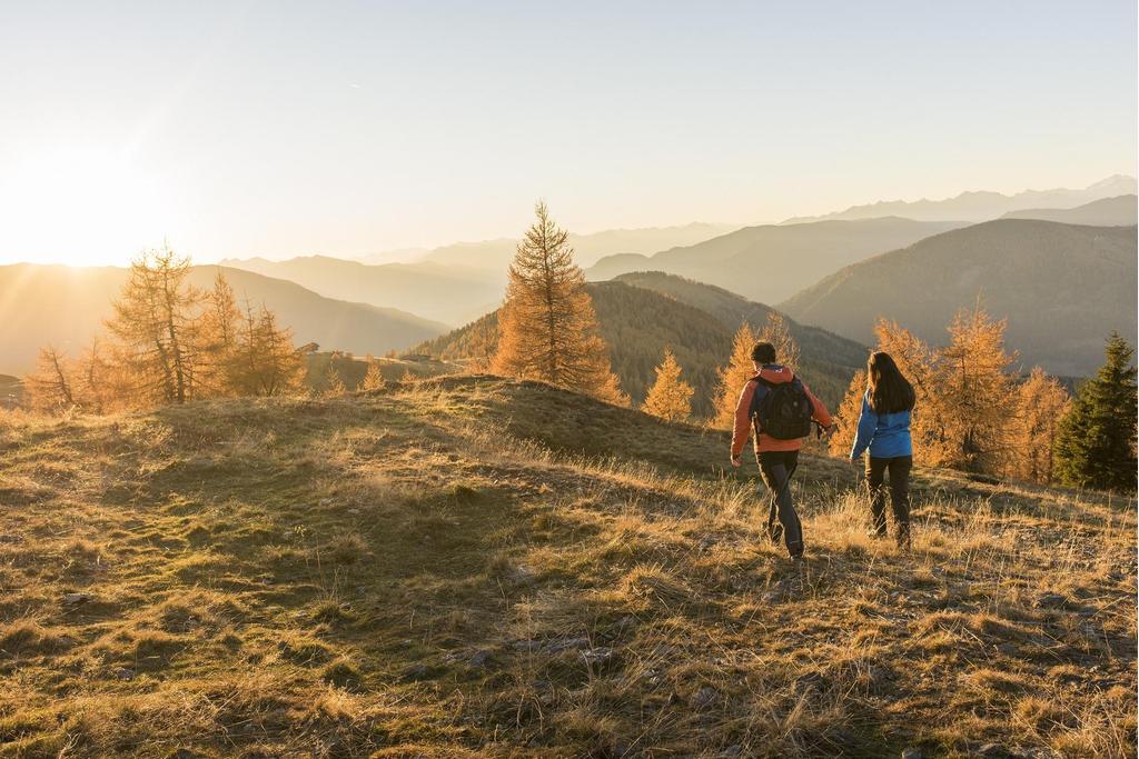 Wandern - Herbst - Lärchengold ®FRANZGERDL