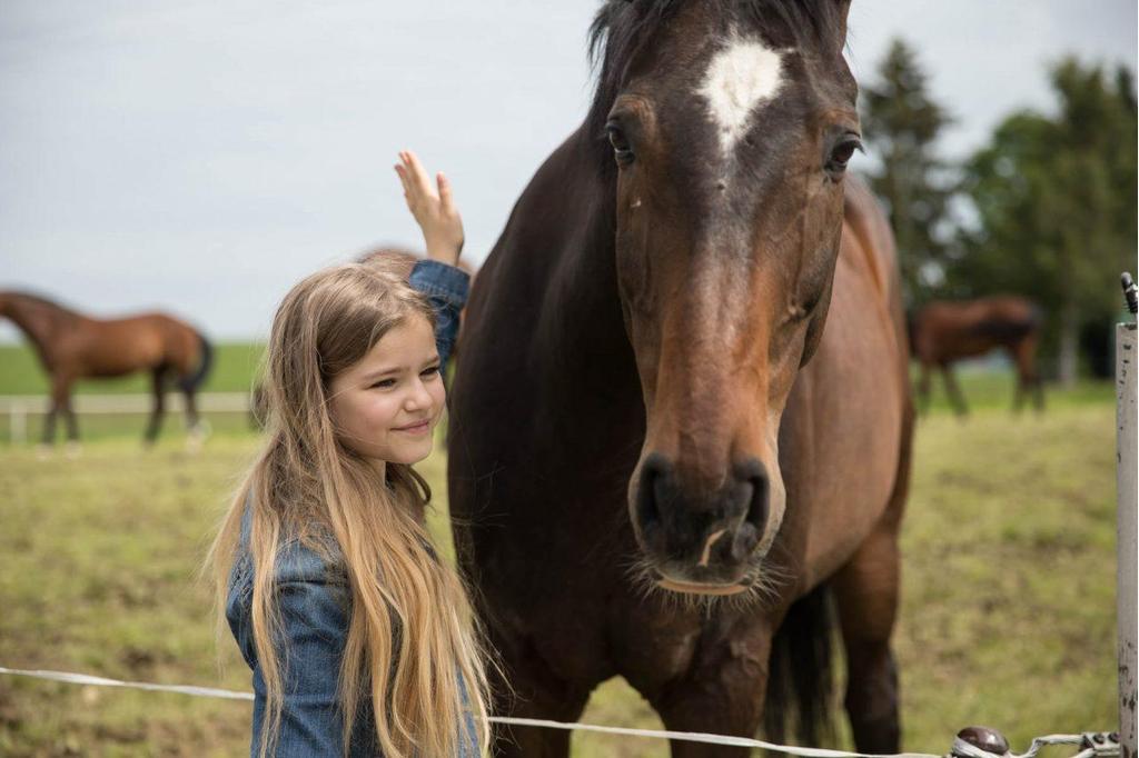 Reiten