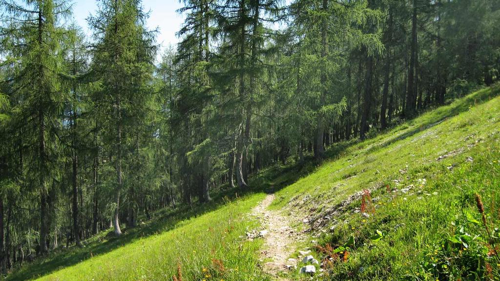 Hutterer Almen-Runde (RundWanderWelt Hinterstoder)