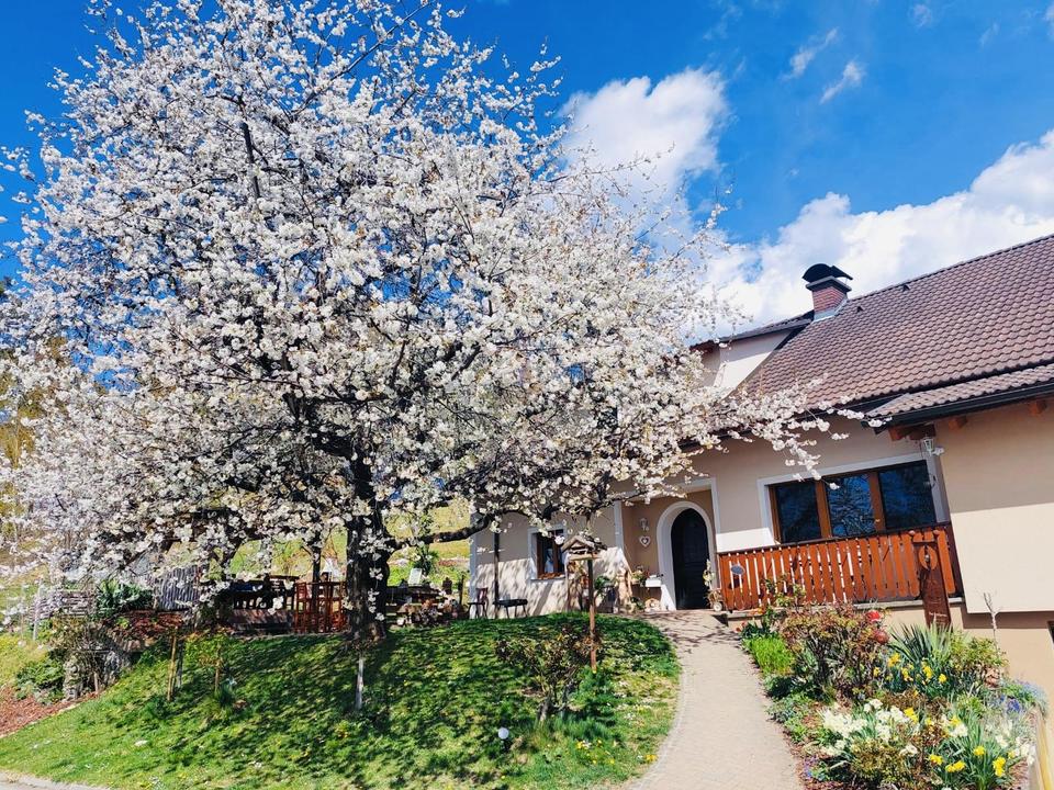 Ferienwohnung | Gästezimmer Weisch | Frühling