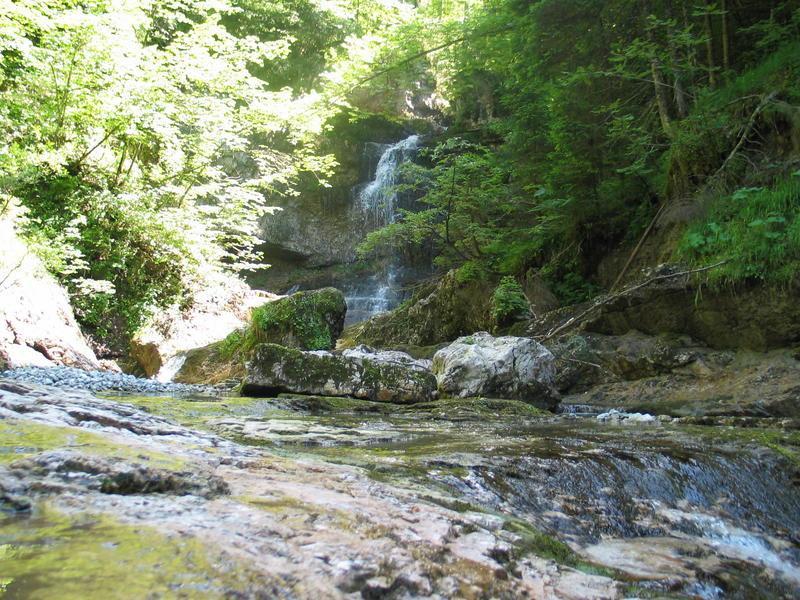 WaldWasserZauber_Hintersee