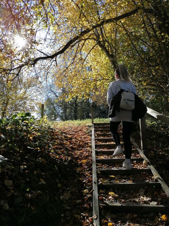 Kneippweg - Körausgraben