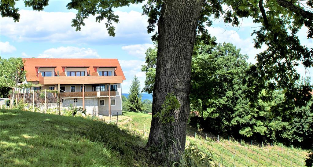 Weingut und Buschenschank Assigal