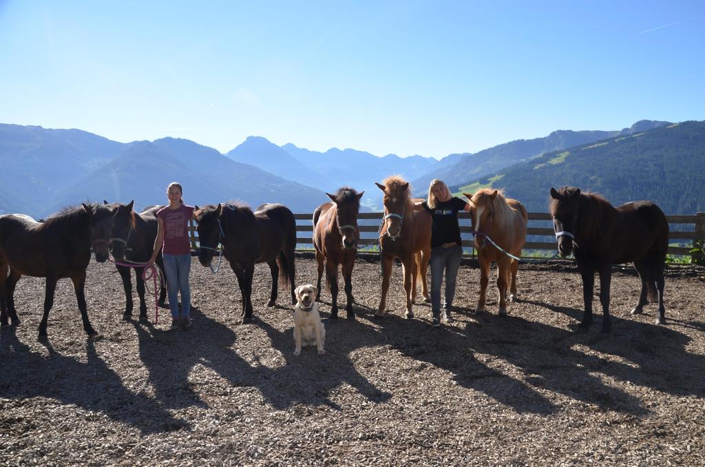Reiten am Oberegghof