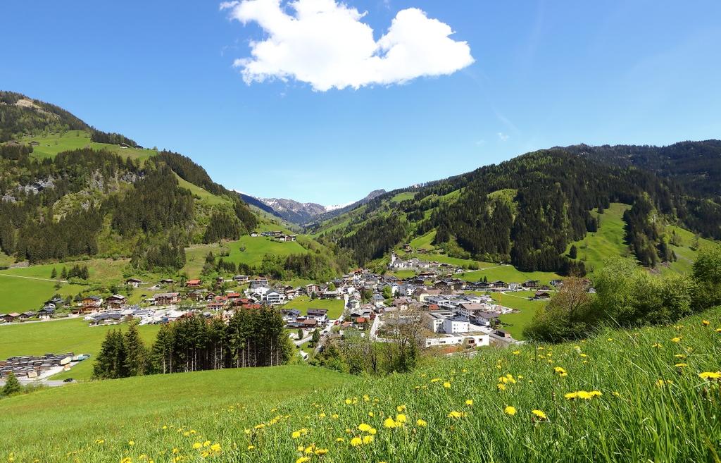 Aussicht auf Großarl