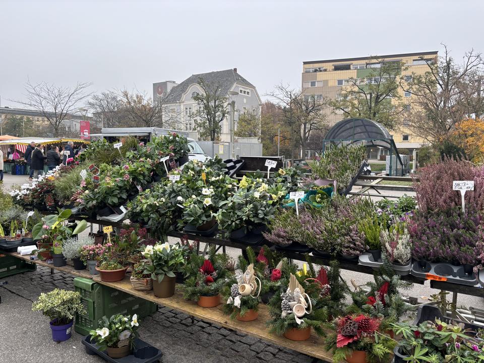 Südbahnhofmarkt im Herbst