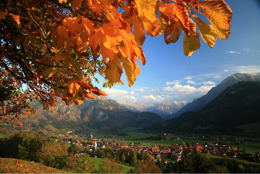 Vorderhindelang