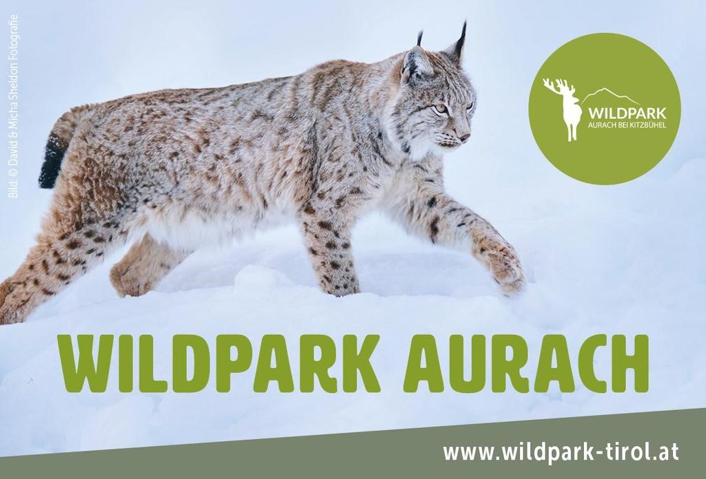 Wildpark Aurach 1