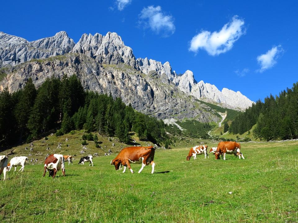 Panorama Mandelwände
