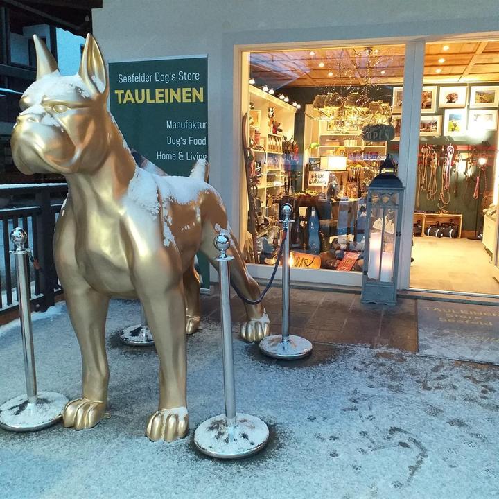 Tauleinen2