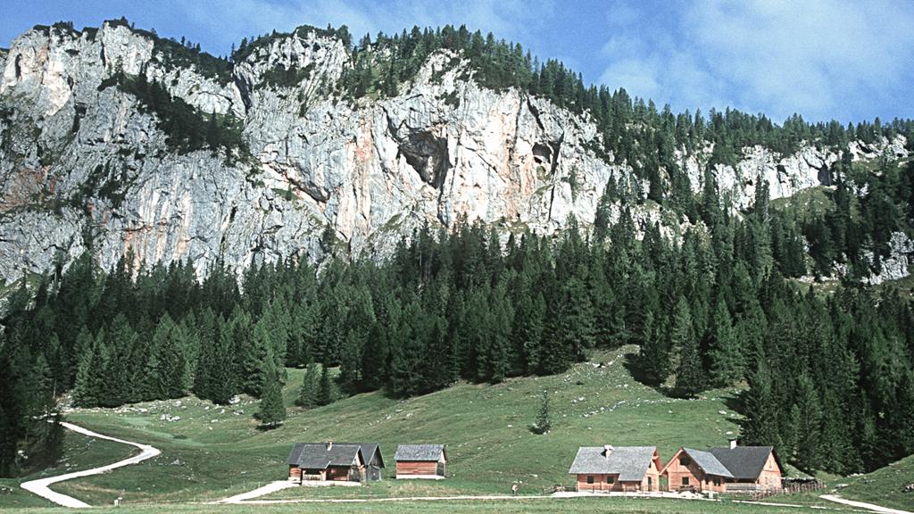 Warscheneck-S%c3%bcd-Stubwies_Alm-und-Jagdh%c3%bctten-im-Bereich-des-Teichlbodens_c-Limberger-Josef_web