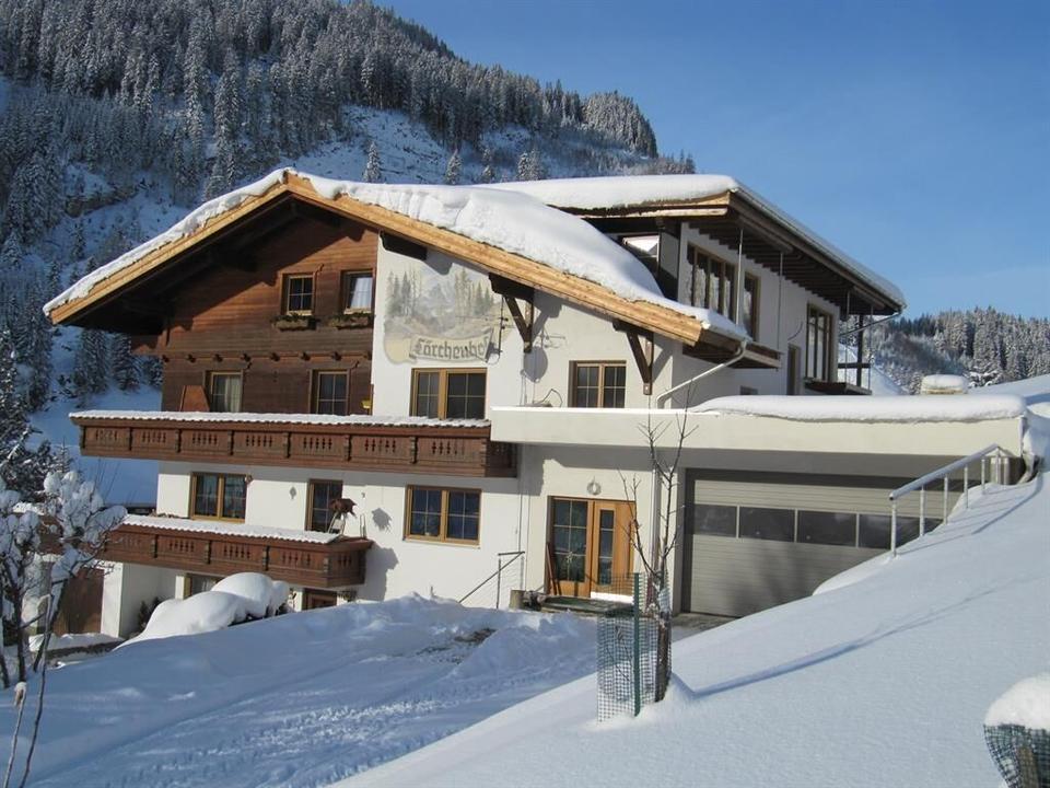 hauswinter