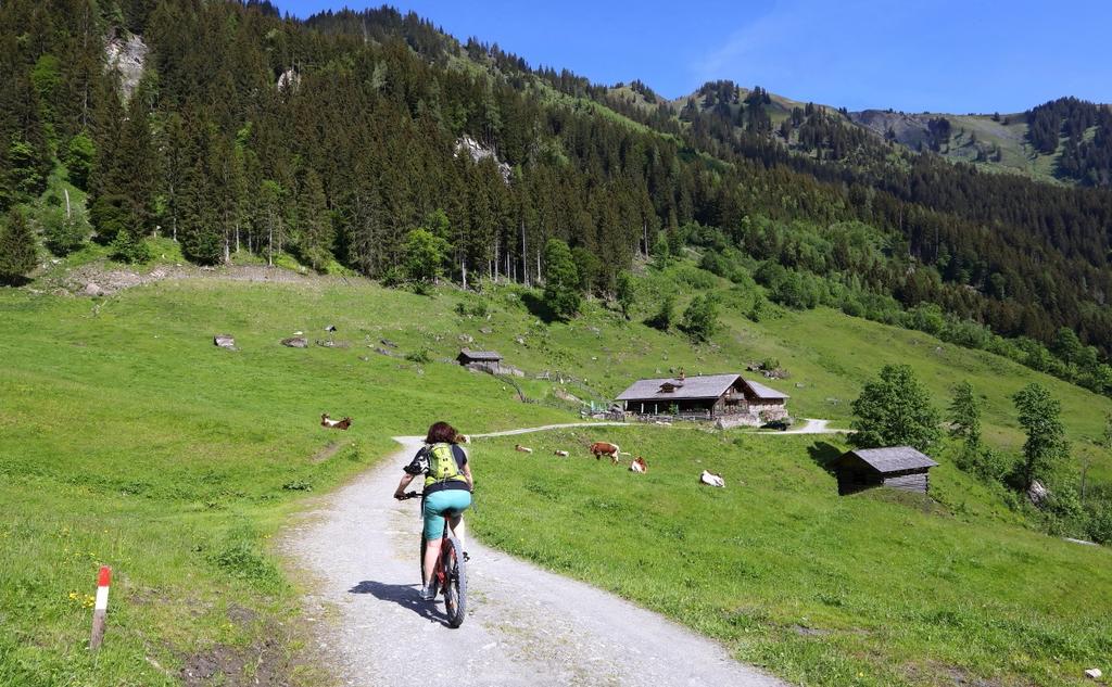 Biketour zu den Aigenalmen