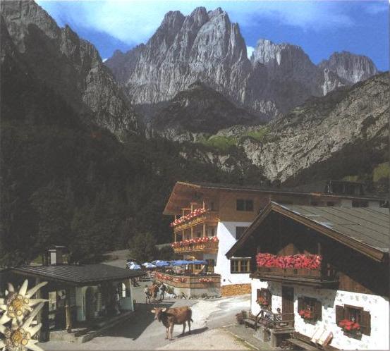 Griesner Alm.JPG