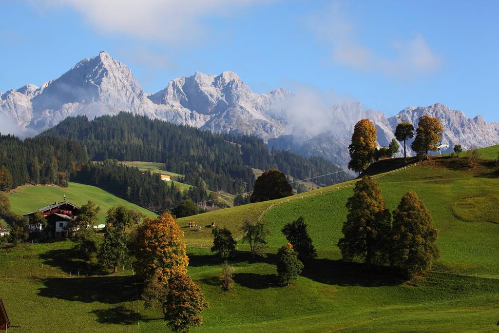 Panoramablick