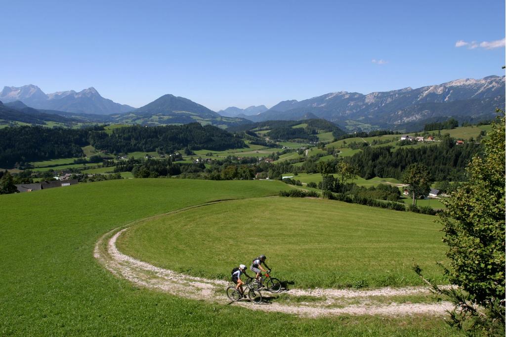 Mountainbiken in der Urlaubsregion Pyhrn-Priel