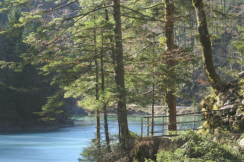 Staufensee in Dornbirn