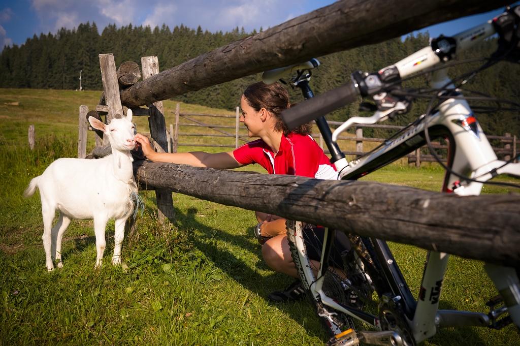 Mountainbiken in einer typisch ländlichen Idylle