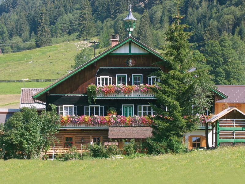 Schauphof - Haus im Sommer