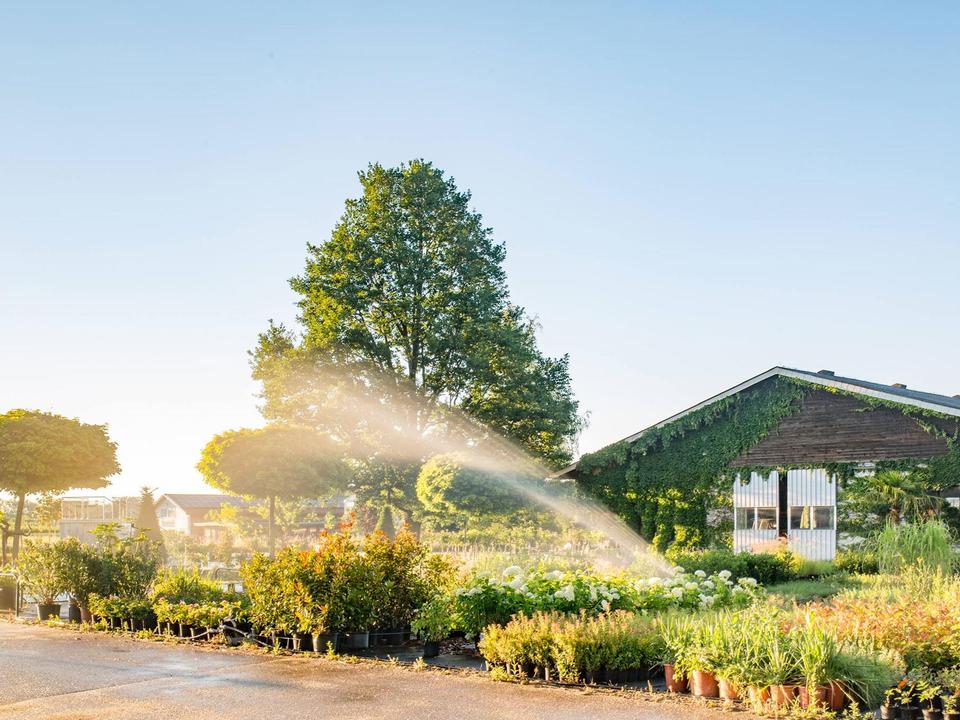 Baum- und Rosenschule Weber